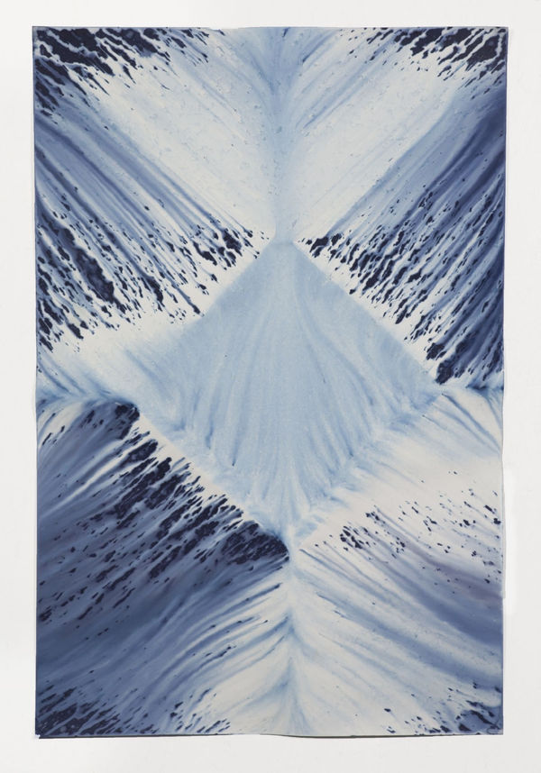 Ecotone #30 (Bainbridge Island, WA 06.10.16, Draped with Cloudburst)