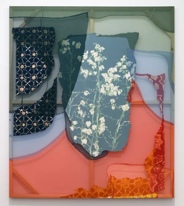 Lauren Luloff, Yucca Filamentosa (Red Shape), 2017