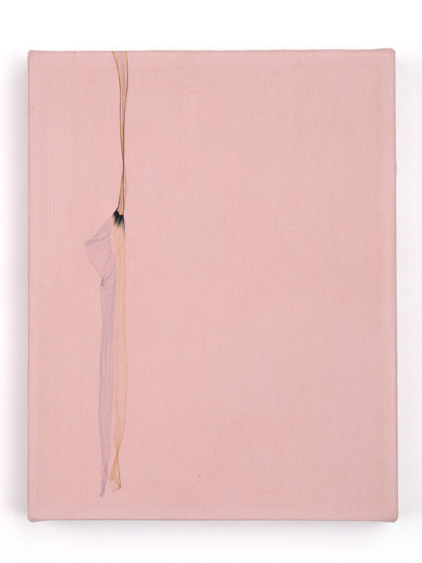 Beatrice Pediconi, Parliamo di fiori #21, 2022