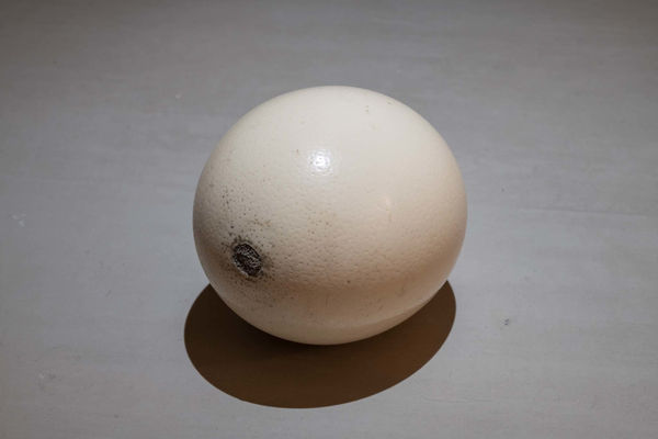 Giovanni Kronenberg, Senza Titolo, 2017-2018