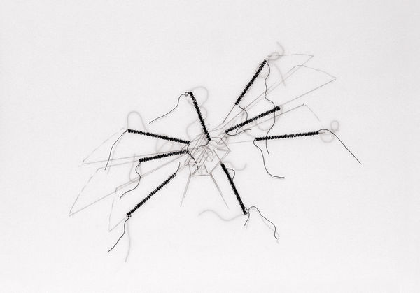 Mariella Bettineschi, Amori segreti, 2008