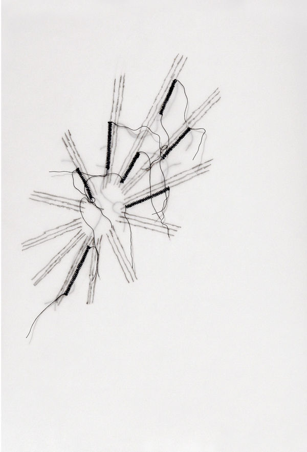 Mariella Bettineschi, Amori segreti, 2008