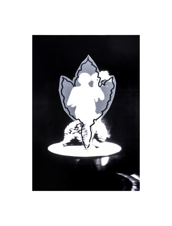 Mariella Bettineschi, Il primo racconto (e l'ultimo), 1996-2020