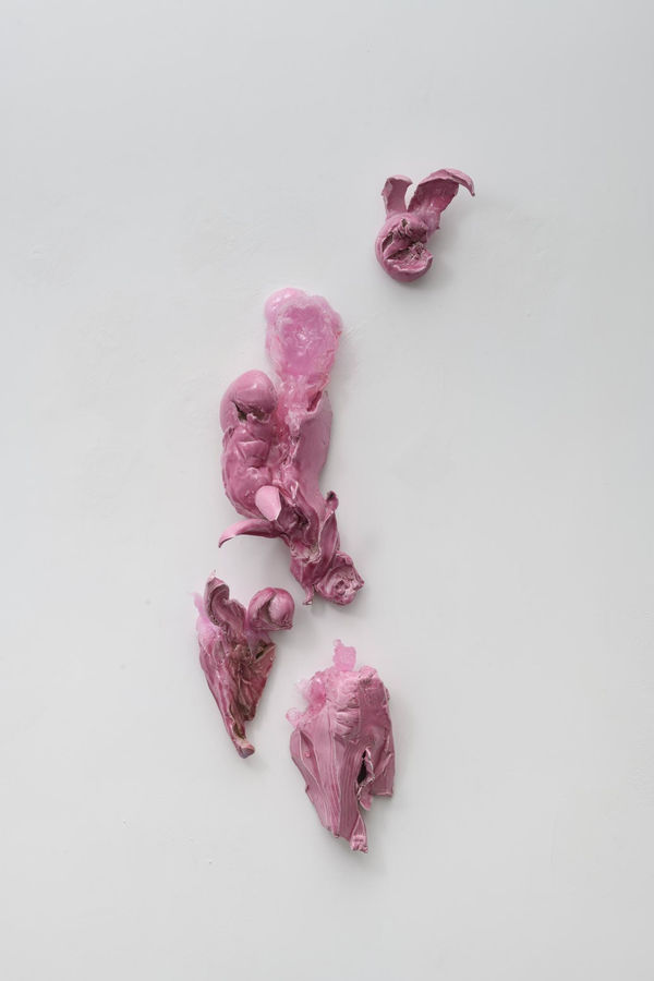 Guglielmo Maggini, (S)fregio rosa, 2023