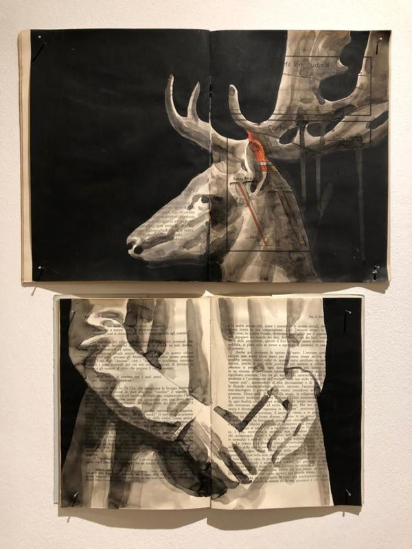 Ekaterina Panikanova, Box 272, 2018