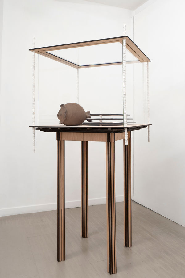 Michele Guido, filanda 05.04.15 _andricus quercustozae project _via baccio pontelli 18, 2020