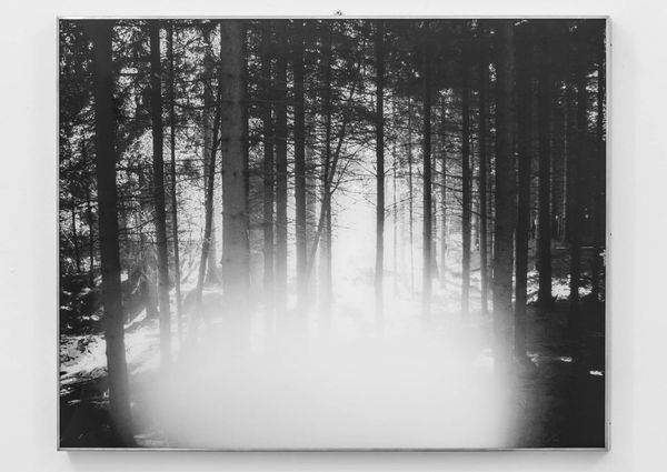 Mariella Bettineschi, Natura (bosco nero), 2010