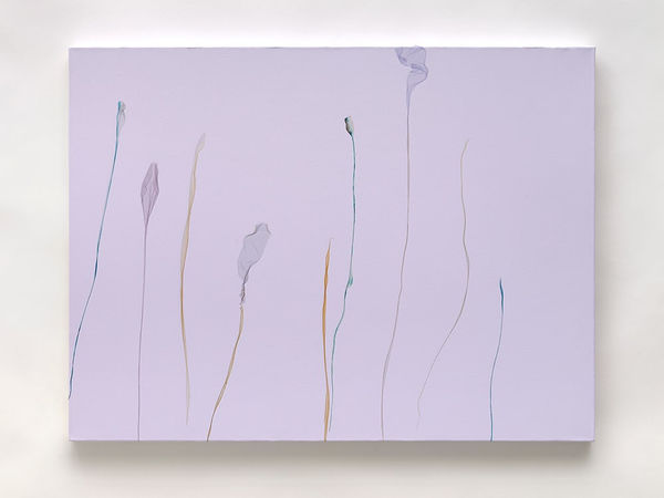 Beatrice Pediconi, I fiori di New York, 2023