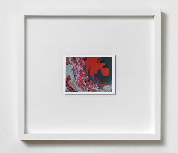 Beatrice Pediconi, Gaea #16, 2019