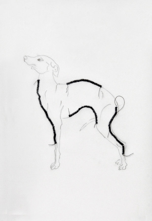 Mariella Bettineschi, Amori segreti, 2008