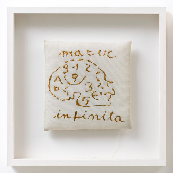 Mariella Bettineschi, Morbido, 1980