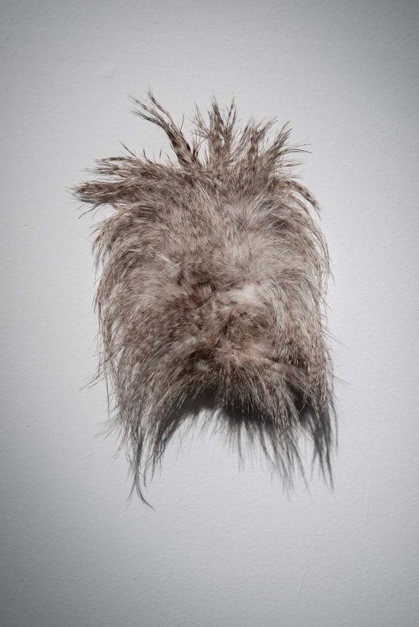 Giovanni Kronenberg, Senza Titolo, 2018