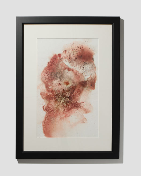 Catalina Christensen, Ancestral Connection