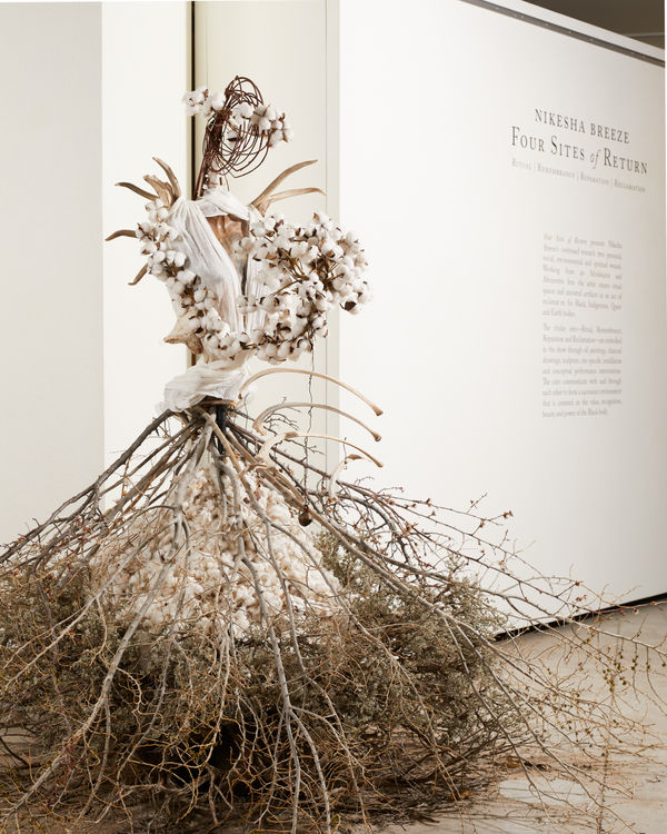 Nikesha Breeze, Cotton and Sage: A Land Effigy of Black and Indigenous Kinship, 2021