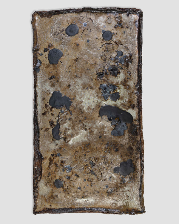 Avi Farber, PANEL, 2025