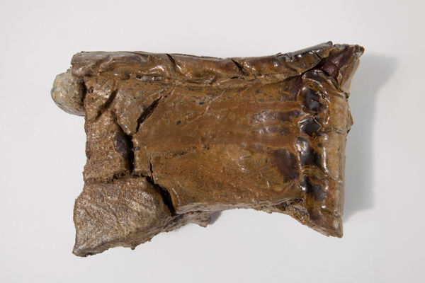 Avi Farber, Chunk 3, 2025