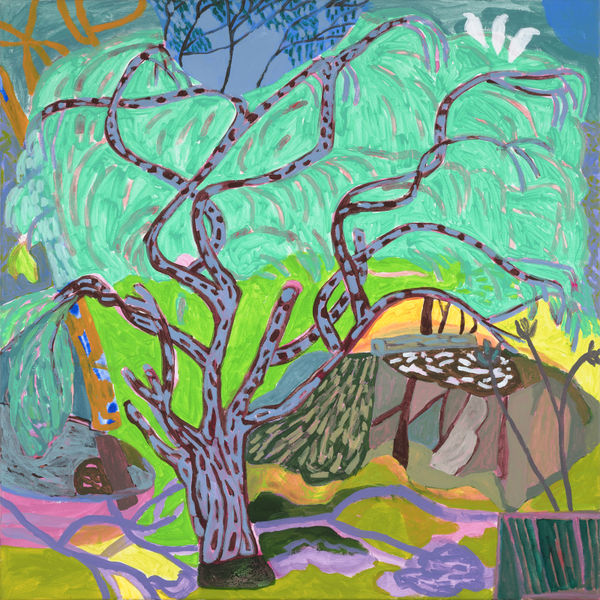 Peppercorn Tree With White Cockatoos