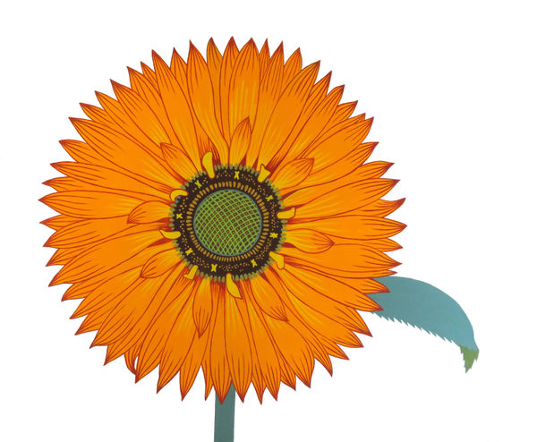 Joy Taylor, Sunflower, 2022