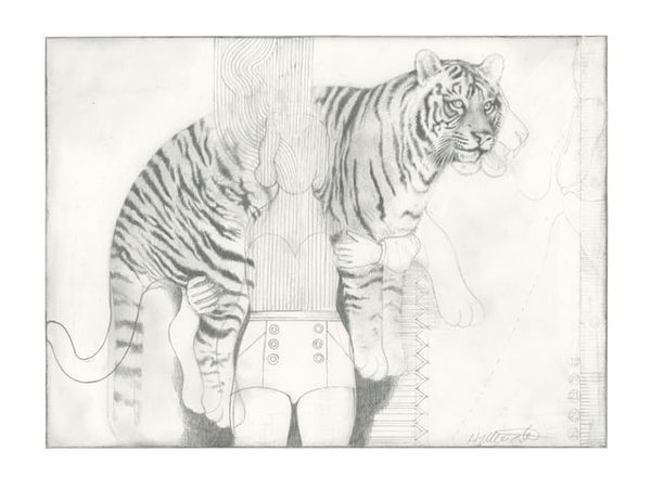 Walking With The Tiger