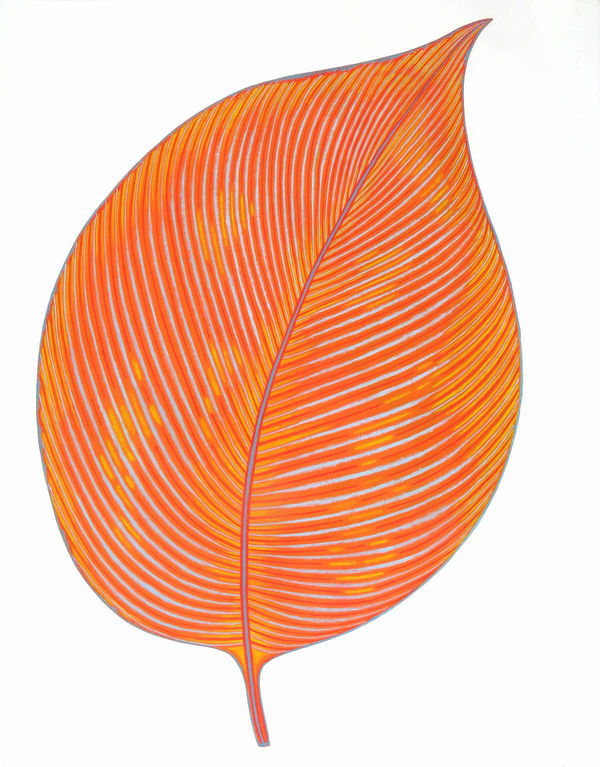 Joy Taylor, Hosta, 2022