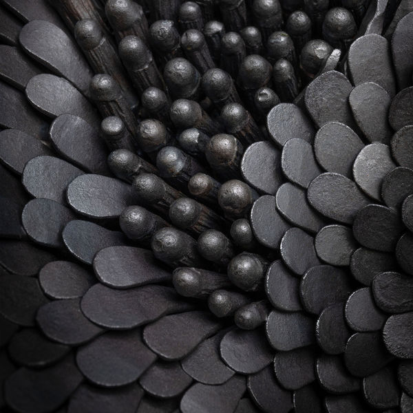 Jm1000 Mori Sassoon 5 Ws