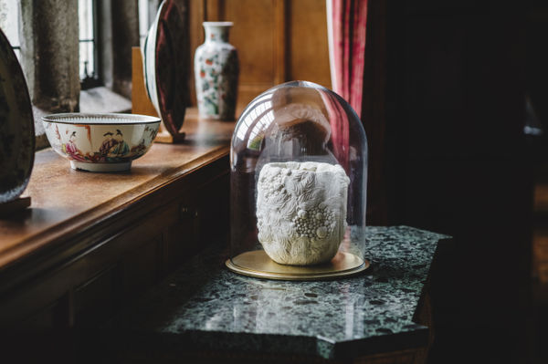 Inspired by Lanhydrock, Hitomi Hosono Lanhydrock, Bodmin, Cornwall