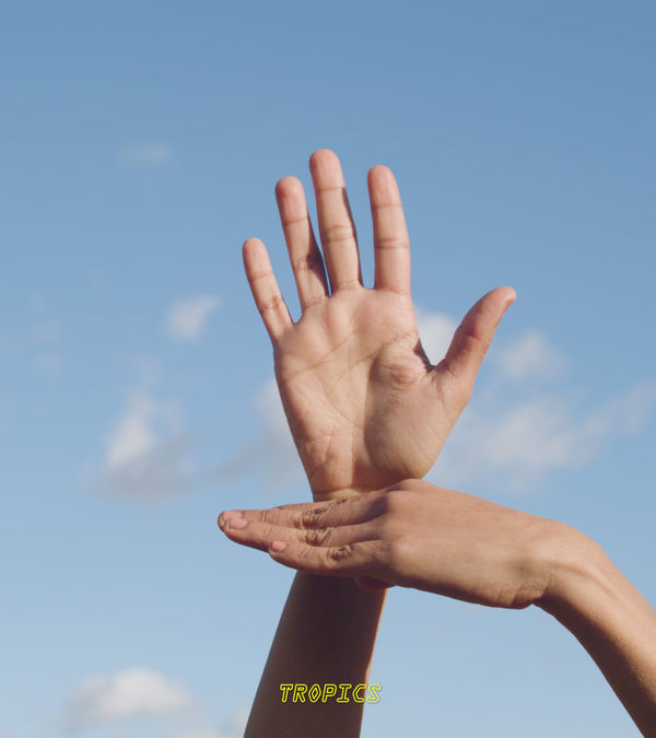 Kent Chan. Solar Orders (video still - Tropics), 2023. Courtesy artist & A.I.