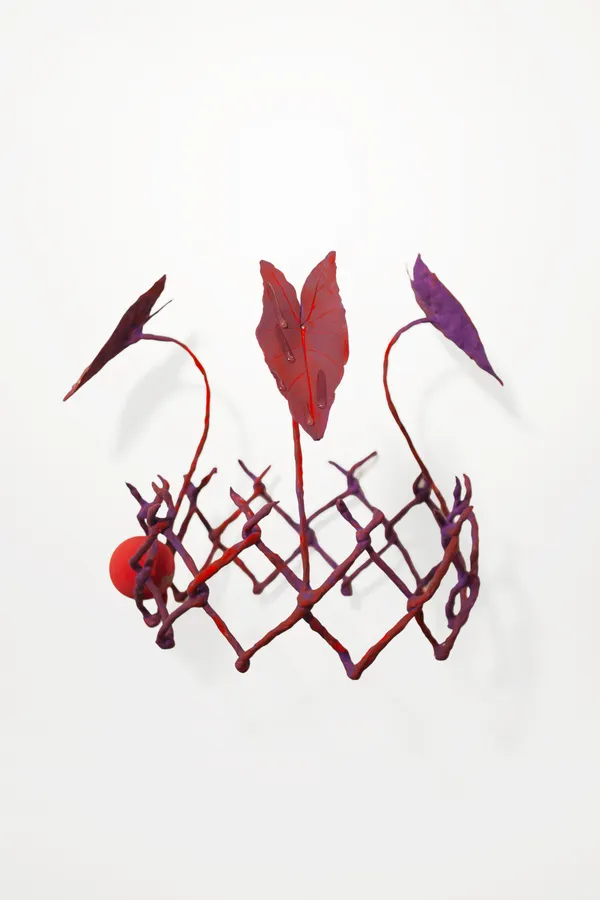 Tommy Coleman, Page of Hearts (Crown), 2026