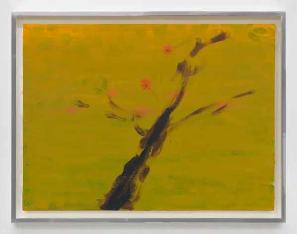 Yves Scherer, Imagine, 2024