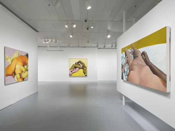 Joan Semmel: In the Flesh, The Jewish Museum