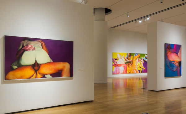 I Know It When I See It Series: Codpieces and Fig Leaves