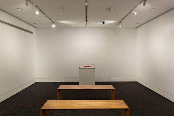 Bethany Collins, America: A Hymnal