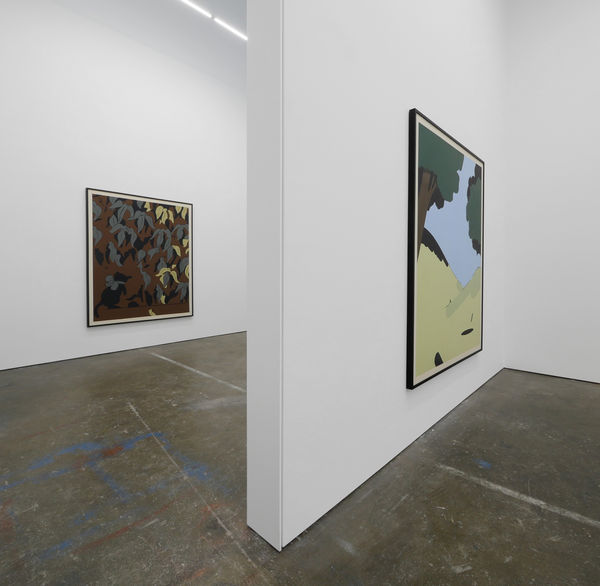 Laeh Glenn Rip or Rag, 2017 Installation view