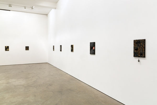 Wg Djar Inst17 06 072