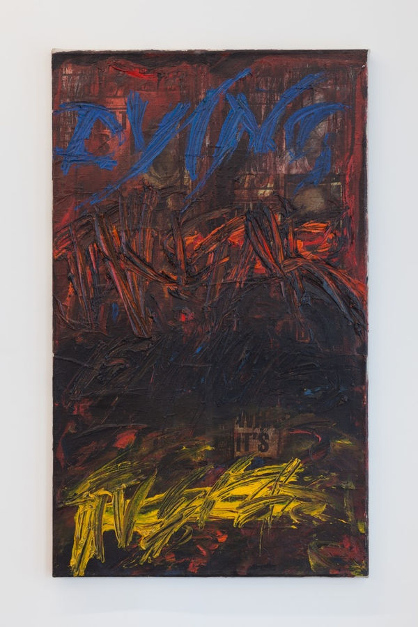 Project Native Informant3