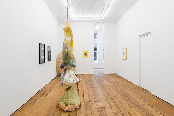 Amanda Wilkinson Letter Like Shapes Word Like Sequences Low Res 46