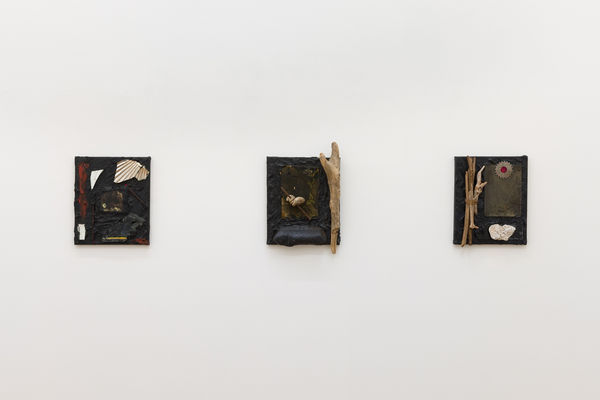 Amanda Wilkinson 11 June 2025 Low Res 28