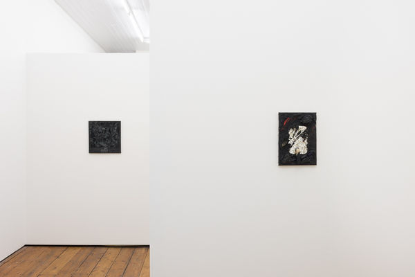 Amanda Wilkinson 11 June 2025 Low Res 30