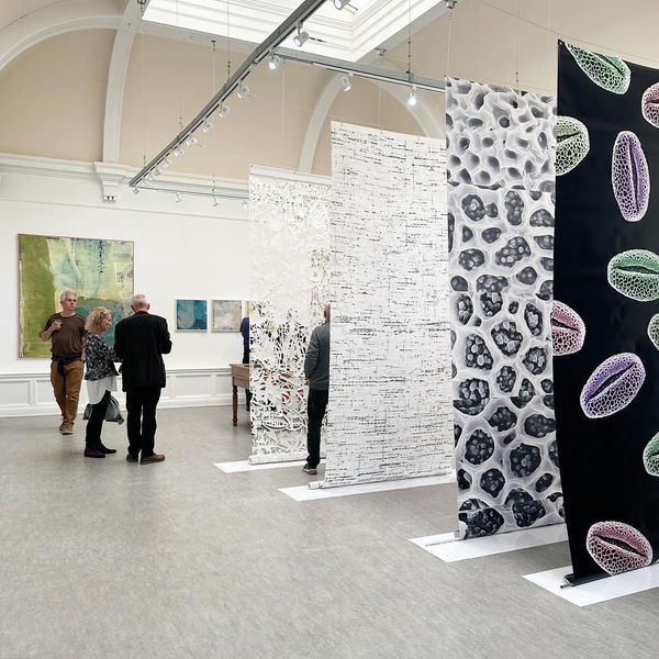 Liz Douglas contemporary art exhibition Scotland