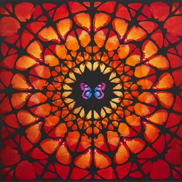 Damien Hirst Sanctum 7