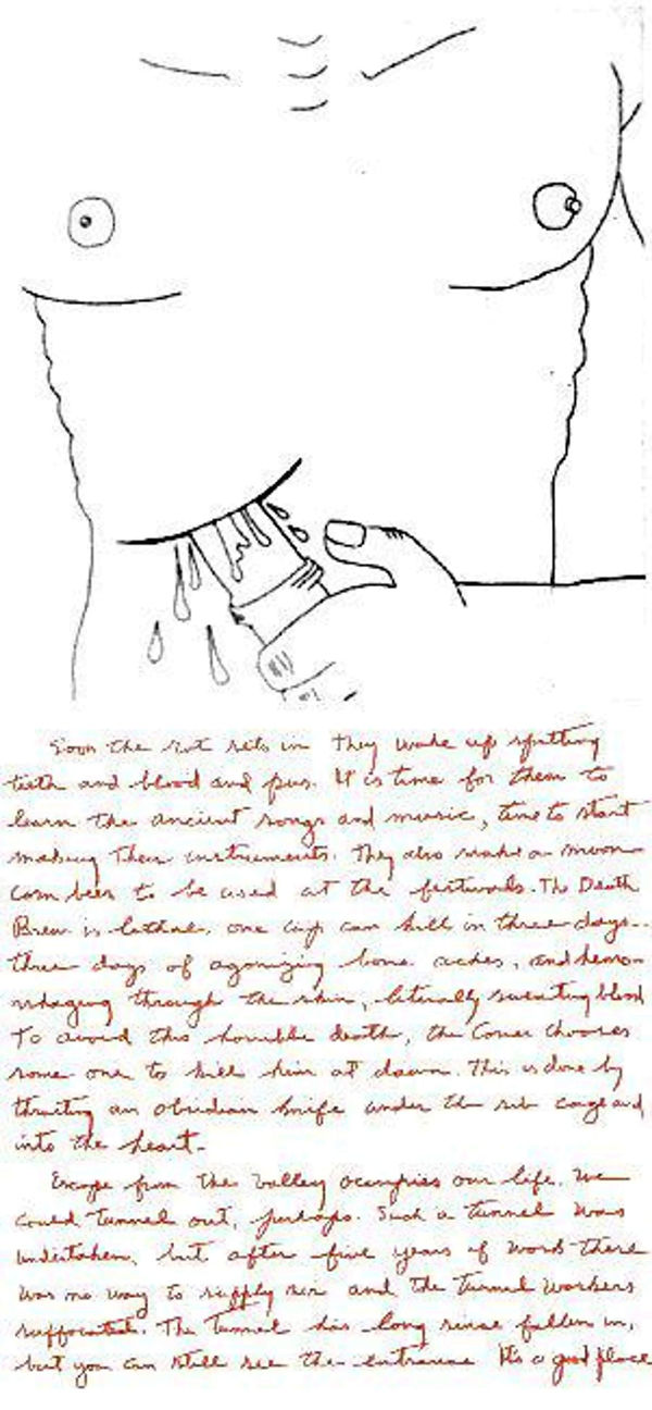 the valley plate nine