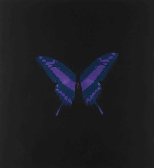 Damien Hirst Memento print for sale