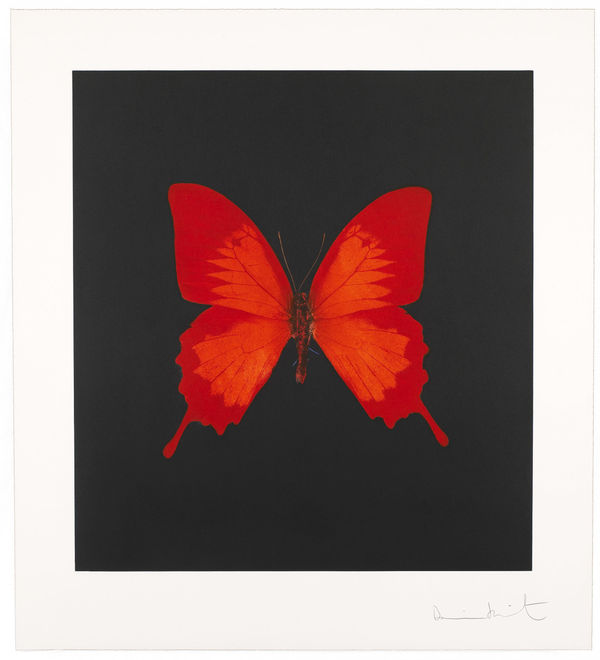 Red Butterfly