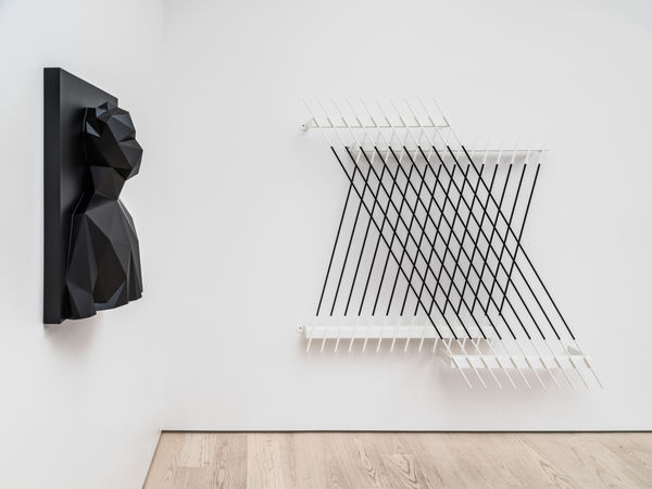 Xavier Veilhan Installation view "Nuit mexicaine", Andréhn-Schiptjenko, Stockholm, Sweden, 2019