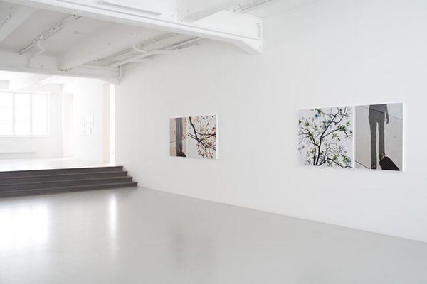 Uta Barth Installation view, ... to walk without destination and to see only to see, Andréhn-Schiptjenko, Stockholm, Sweden, 2010