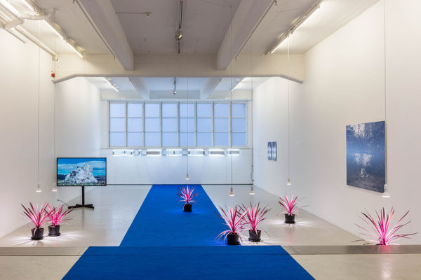 Santiago Mostyn Installation view, 'The Warming Plateau', Andréhn-Schiptjenko, Stockholm, Sweden, 2018