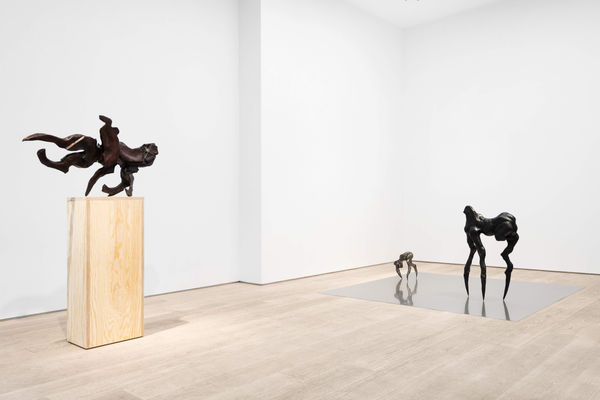 Sally von Rosen Installation view 'On Three Legs' Andréhn-Schiptjenko, Stockholm, Sweden, 2026