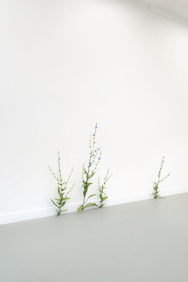 Installation view, Tony Matelli, at Andréhn-Schiptjenko, Paris, 2020. © C. Maignien