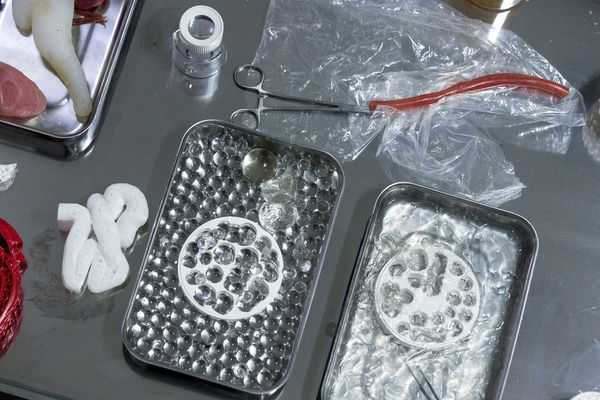 Valeria Abendroth 14