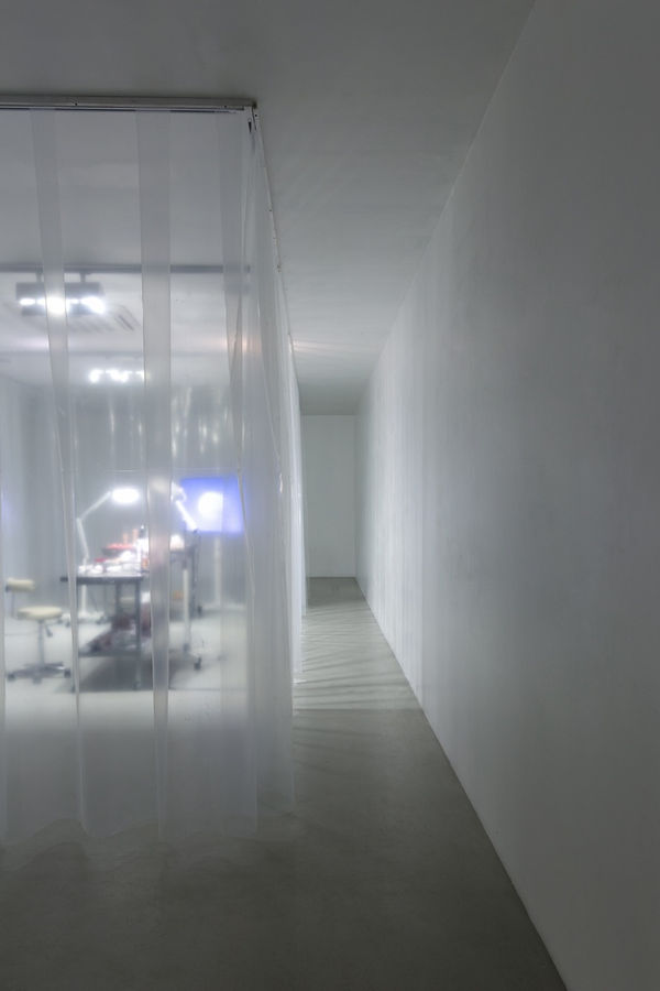 Valeria Abendroth 17